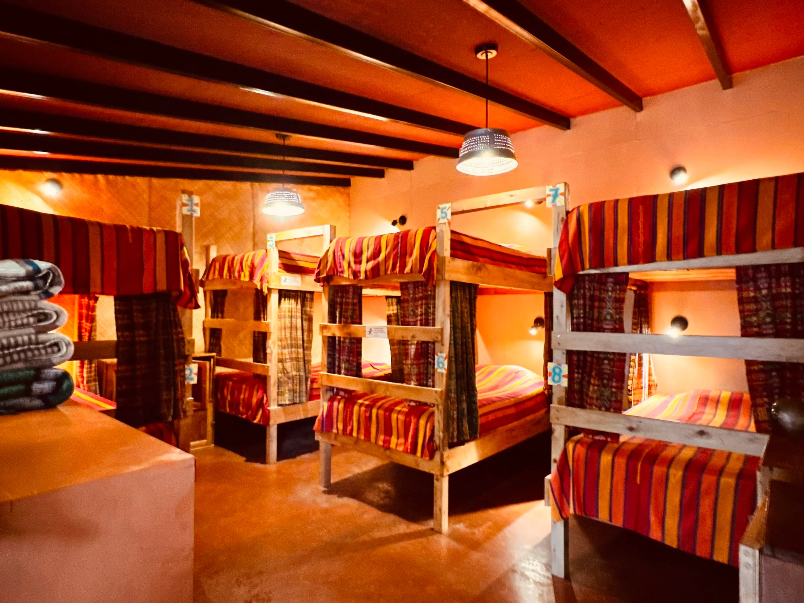 Iguana Dorms
