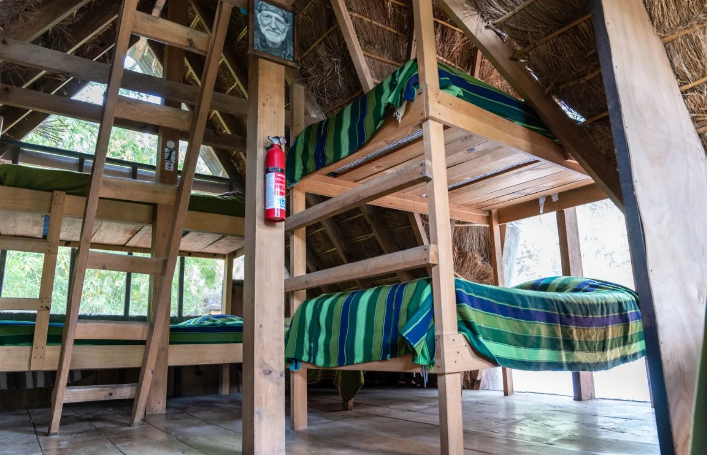 Treehouse Dorms