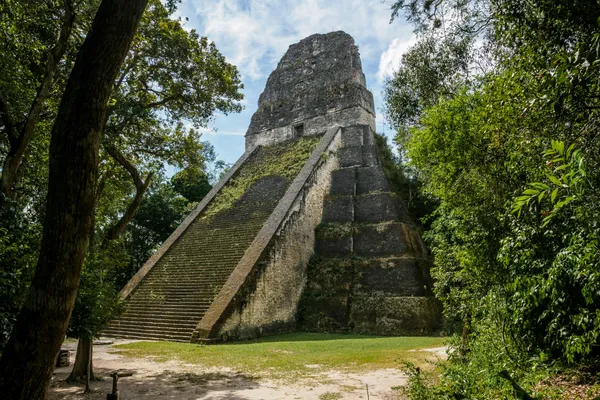 Flores (Tikal)